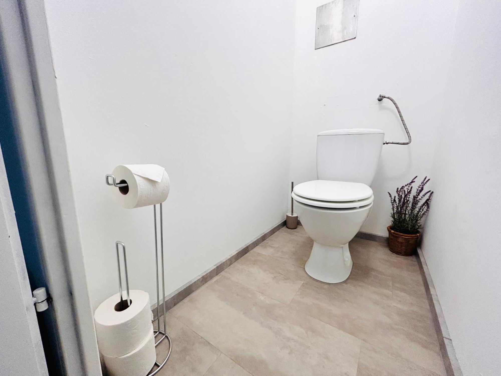 Appartment Near Schoenbrunn Wien Exteriör bild